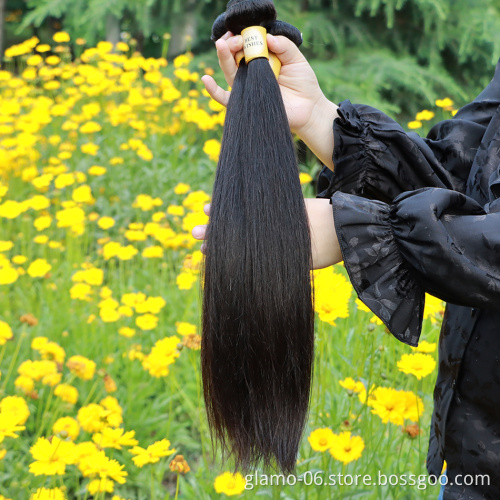 Mink Virgin Cuticle Aligned Straight Hair Wholesale Brazilian Human Hair Bundles Virgin 10A Vendors No Tangle And No Shedding
